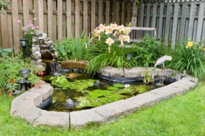 backyardpond-300x199-2